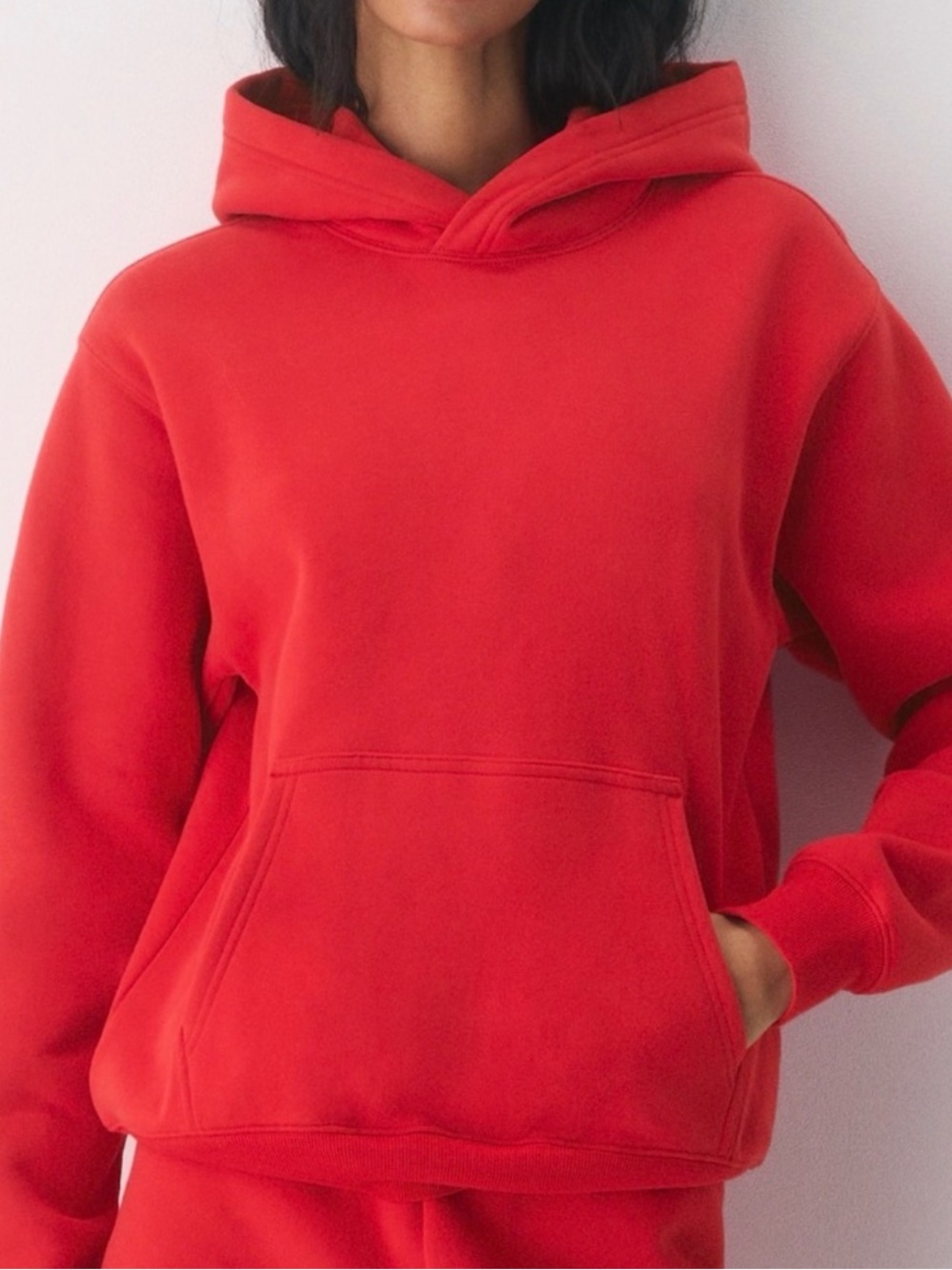 Aritzia Tna cozy af fleece hoodie